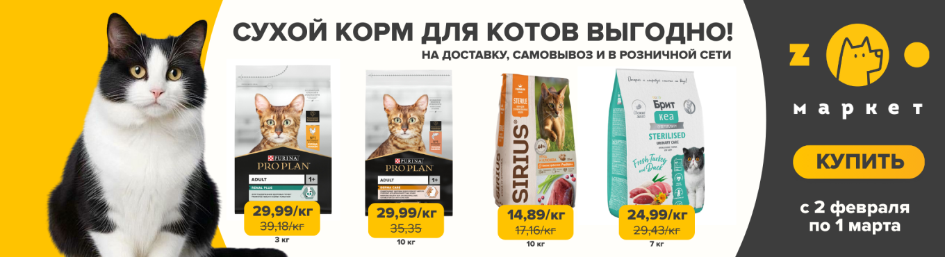 Сухой корм кошки выгодно